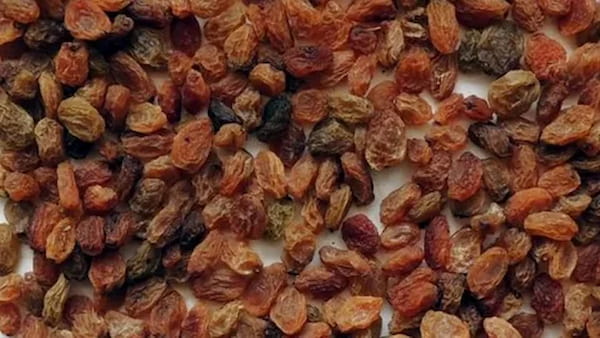 قیمت خرید کشمش اعلا درجه یک + فروش ویژه